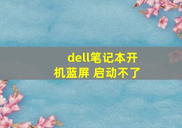 dell笔记本开机蓝屏 启动不了